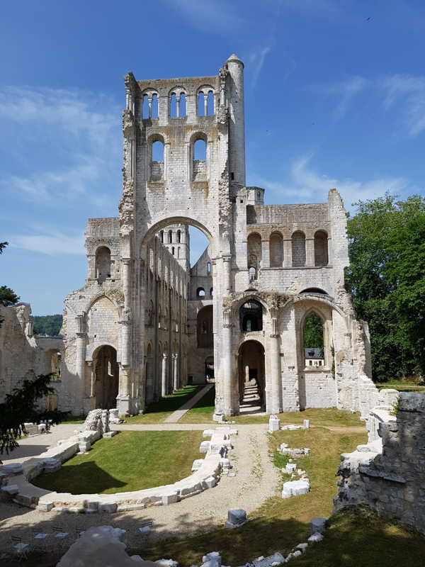 term image
