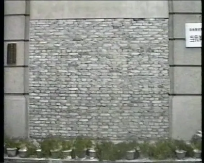 term image