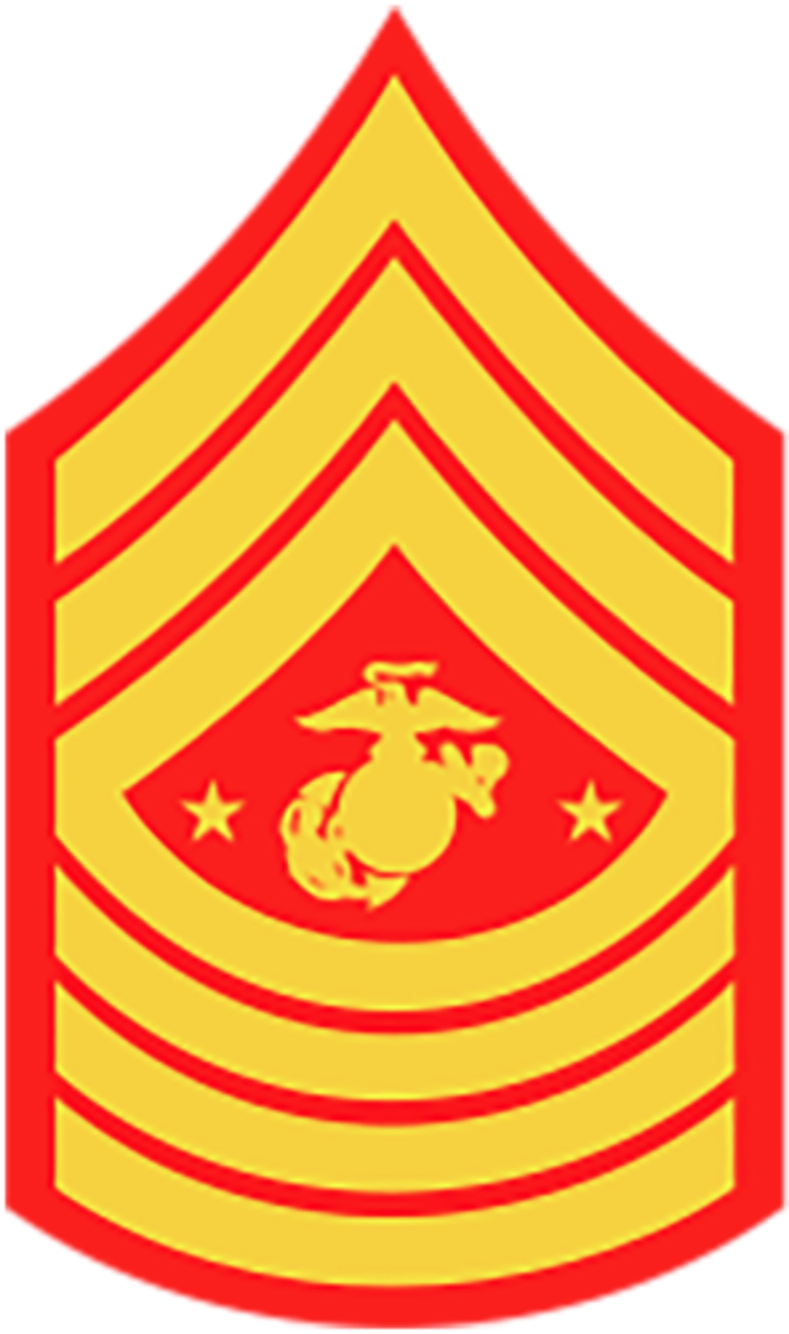 <p>Marine Corps: E-9</p>