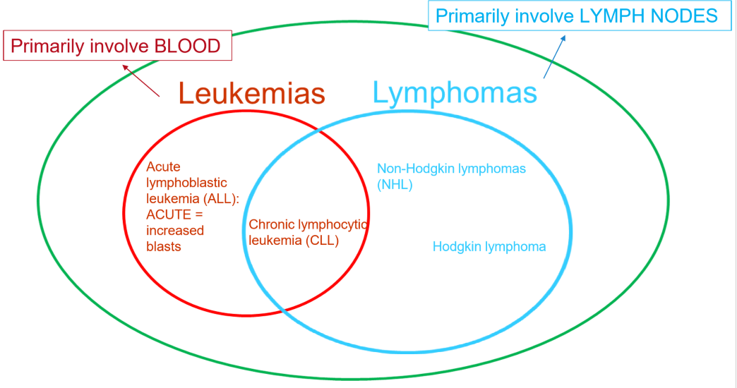 <p>lymph nodes, blood</p>