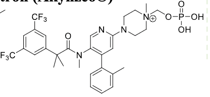 <p>Drug Name and Class</p>