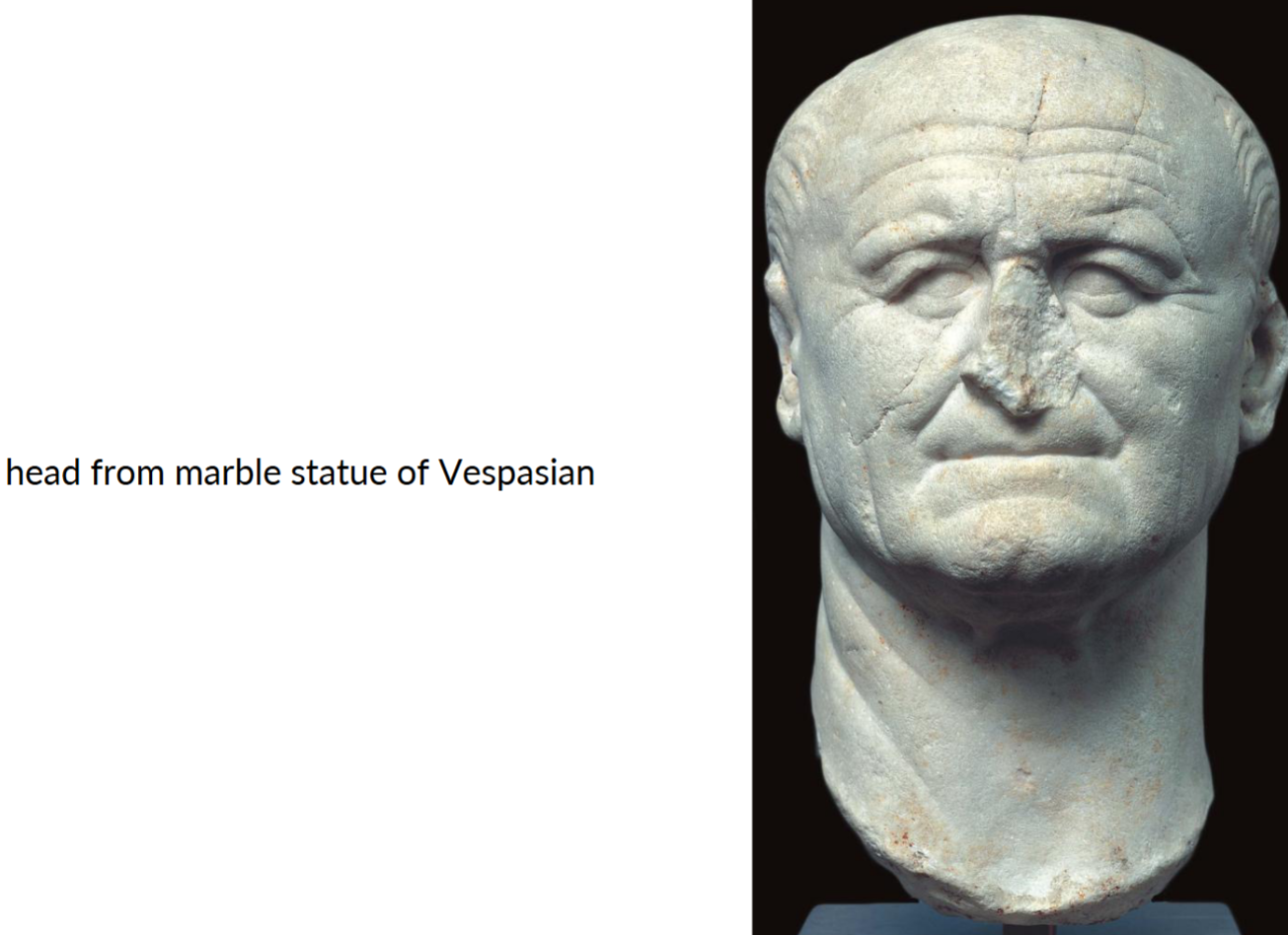 <p>Vespasian</p>