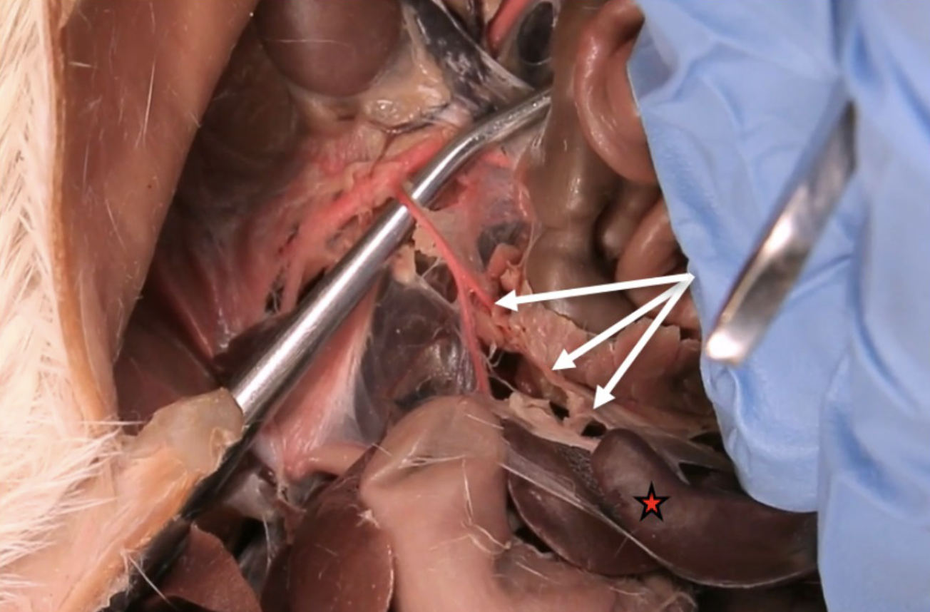 <p>What is this?</p>