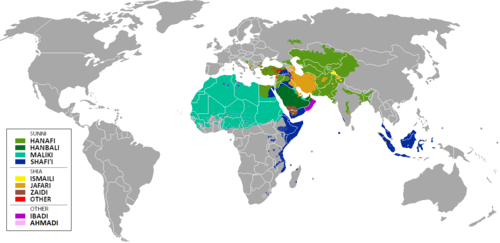 <p>Uthmann, the third caliph, was killed by his own troops in AD 656 following a dispute. His army chose Ali, a cousin of Muhammad, as the next caliph. This led to a split that resulted in the two major groups in Islam. One group believes that Muhammad did not appoint a successor. Instead, they believe that any worthy Muslim could be selected to lead Islam. This group refers to their political leader as caliph and their spiritual leader as Imam.</p>