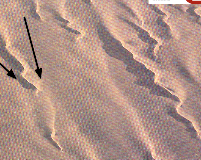 Longitudinal dunes (**crests are parallel to wind**)