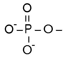 <p>PO4</p>