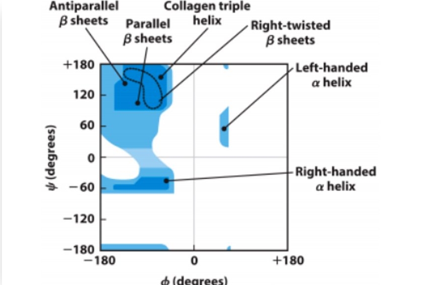 <p>For how many of the amino acids is this Ramachandran map standard? Which ones are not included in that group?</p>