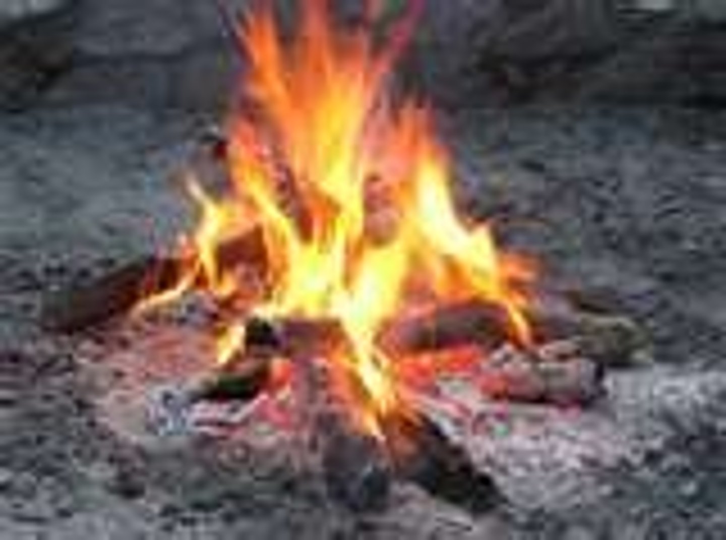 <p>small pieces of dry wood used to start a fire</p>