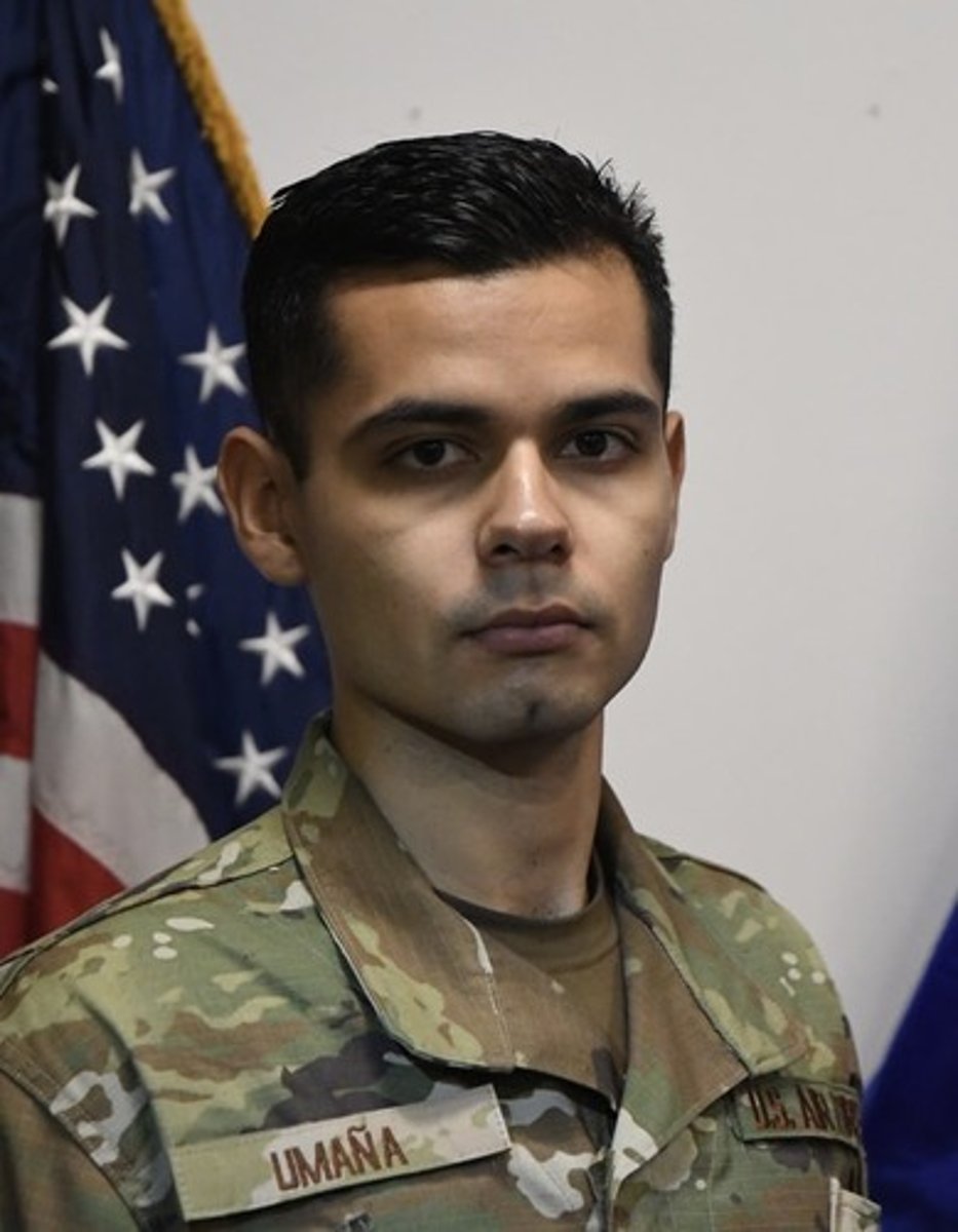 <p>Alpha Flight Commander</p>