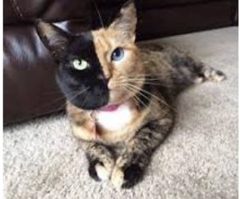 <p>what is this an example of </p>