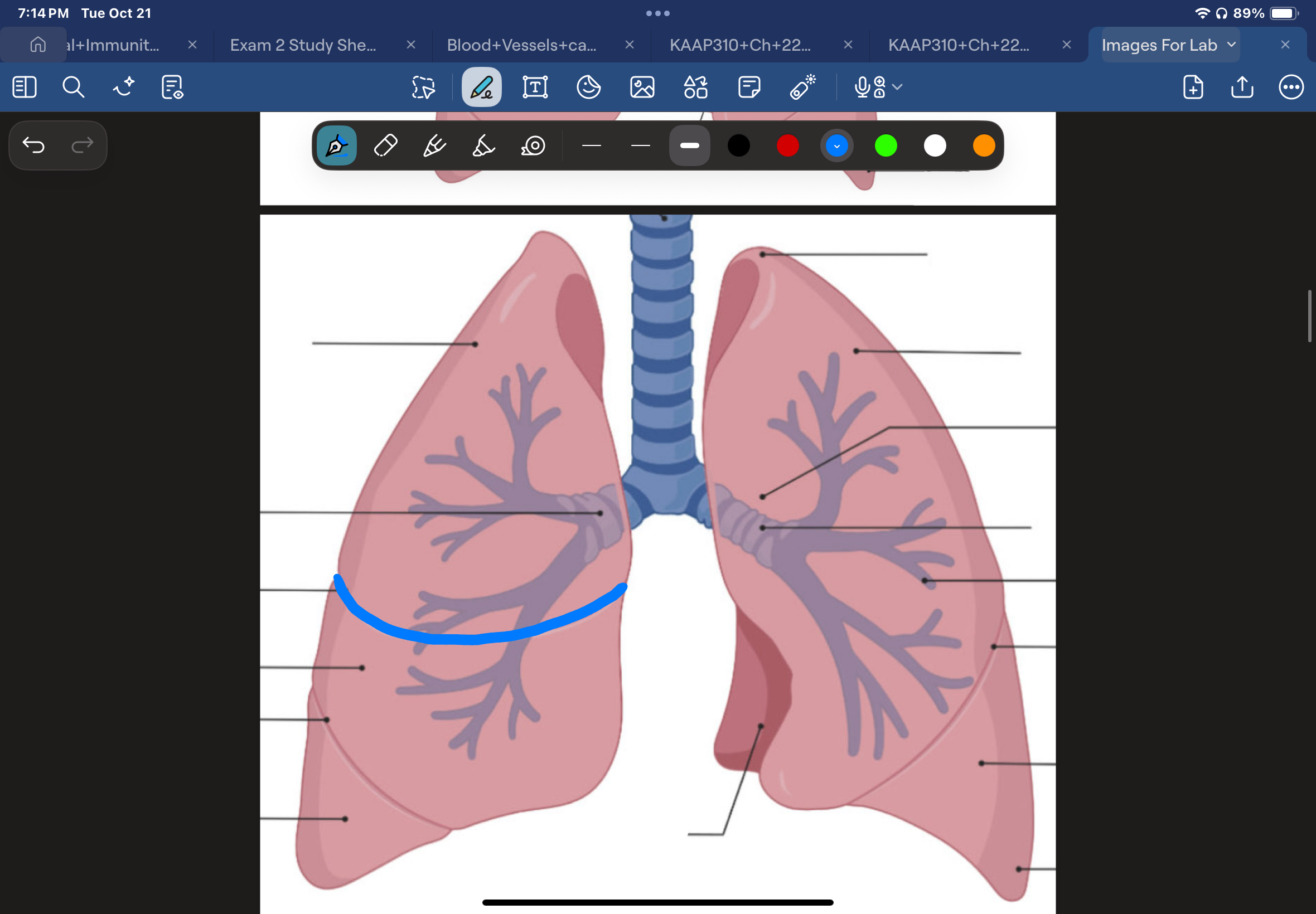 knowt flashcard image