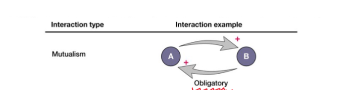 <p>-reciprocal benefit to both partners</p><p>-relationship with some degree of obligation</p><p>-often partners cannot live separately</p><p>-mutualist and host are dependent on each other</p>