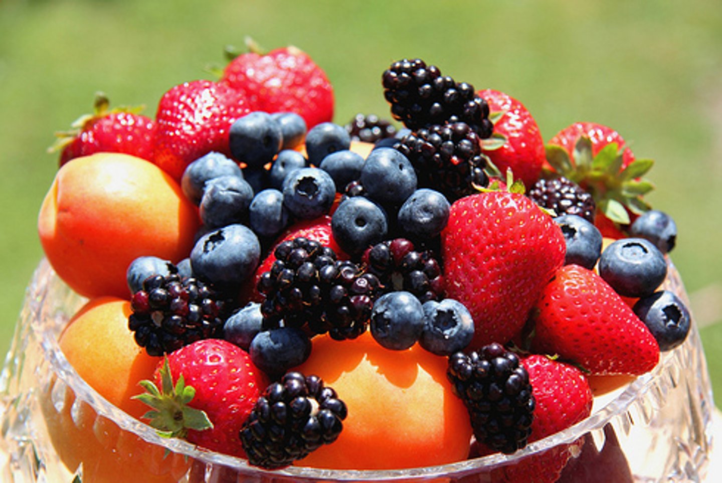 <p>Gathering information based on your senses, like color, texture, smell</p>