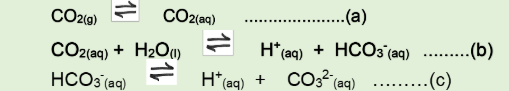 <ol><li><p>as the concentration of CO2 in the air rises, the position of equilibrium (a) shifts right</p></li><li><p>so [CO2(aq)] rises and hence equilibrium (b) shifts right minimising the change</p></li><li><p>so [HCO3-] rises and hence equilibrium c shifts right minimising the change</p></li><li><p>so concentration of H+ in the ocean rises</p></li></ol><p></p>