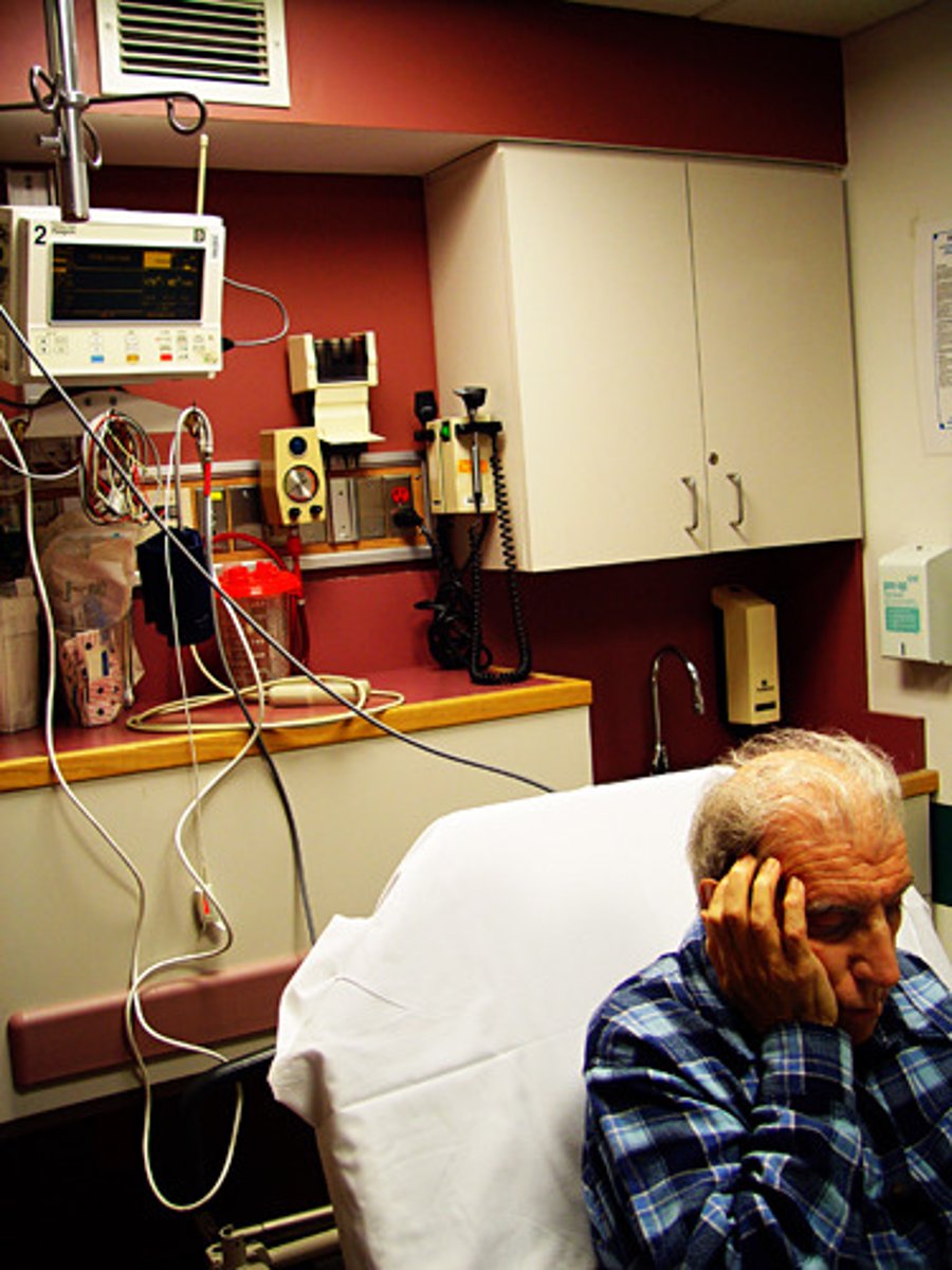 <p>disease condition</p>