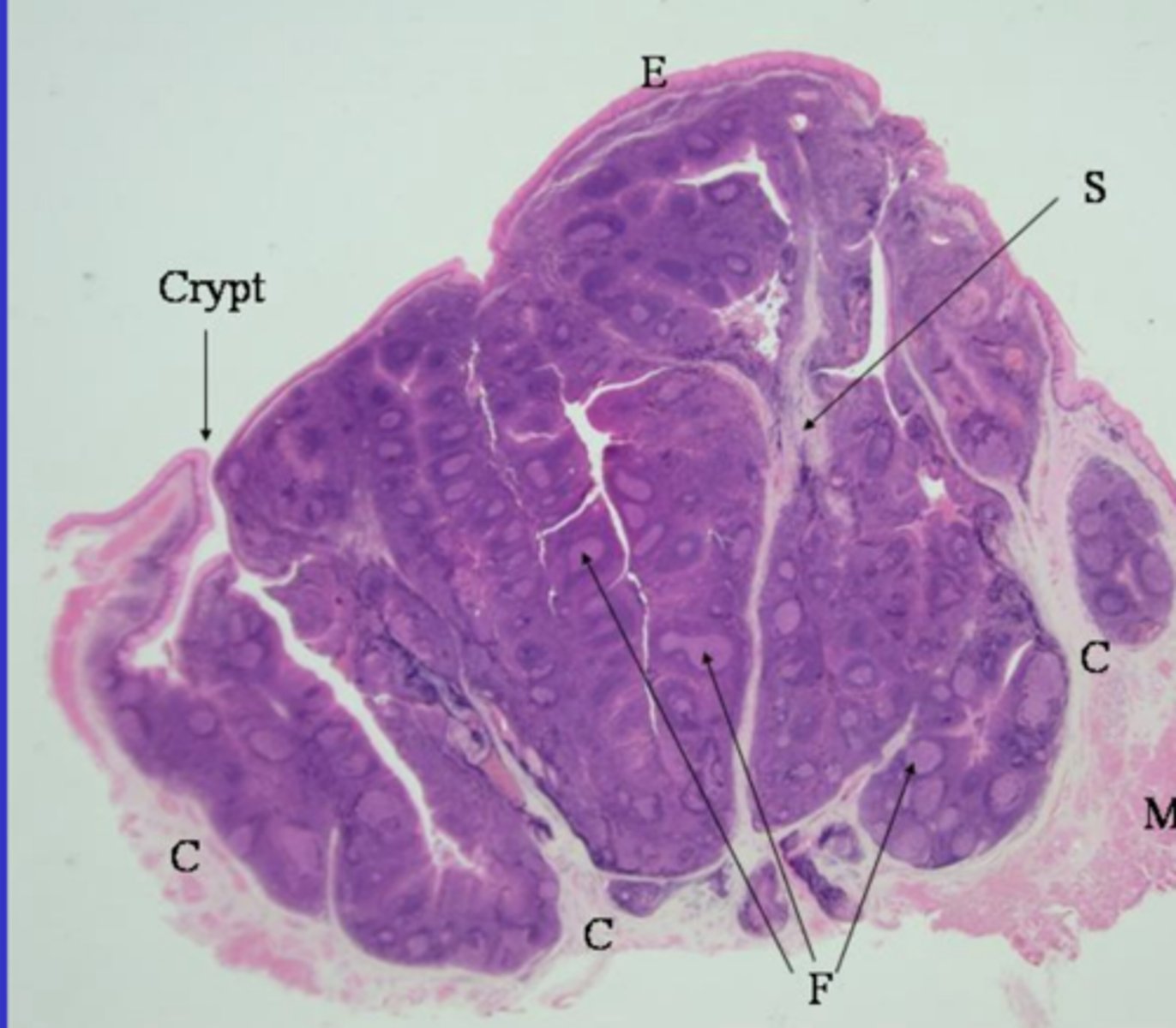 <p>what is this?</p>