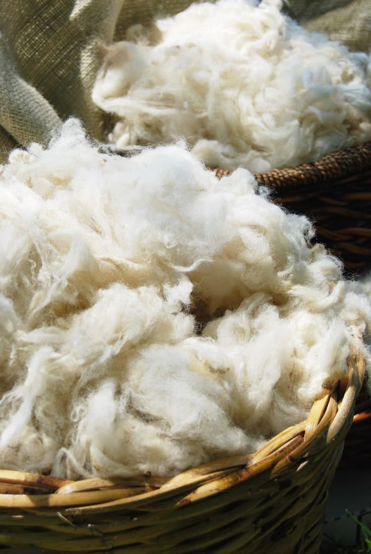 <p>wool and cloth</p>