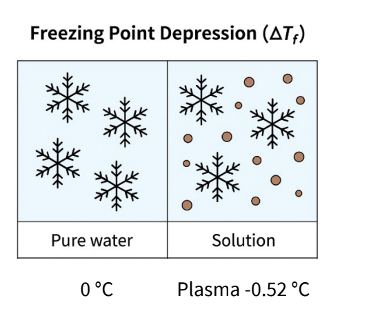 <ul><li><p>Freezing point depression (ΔTf) is the lowering of the</p></li><li><p>freezing point of a solvent when a solute is dissolved</p></li><li><p>in it.</p></li><li><p></p></li><li><p>It is a colligative property, meaning it depends only</p></li><li><p>on the number of solute particles, not their type.</p></li><li><p></p></li></ul><p>• Pure water freezes at 0°C.</p><p>• Adding solutes lowers the freezing point (solution</p><p>freezes below 0°C).</p><p>• Blood plasma has ΔTf ≈ 0.52°C</p><p>Solutions with the same ΔTf depression are isotonic.</p><p></p><p>note- use this property to adjust the isotonicity of drugs </p>