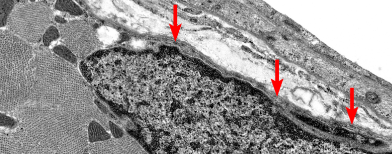 <p>What is this highlighting</p>