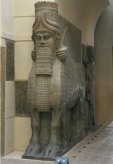 term image