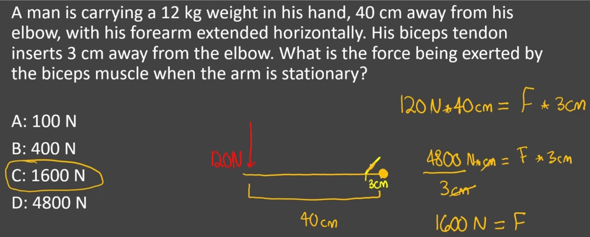 knowt flashcard image