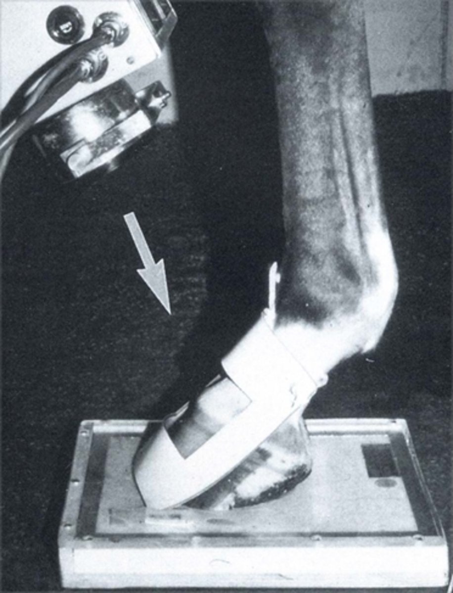 <p>What view is being taken?</p>