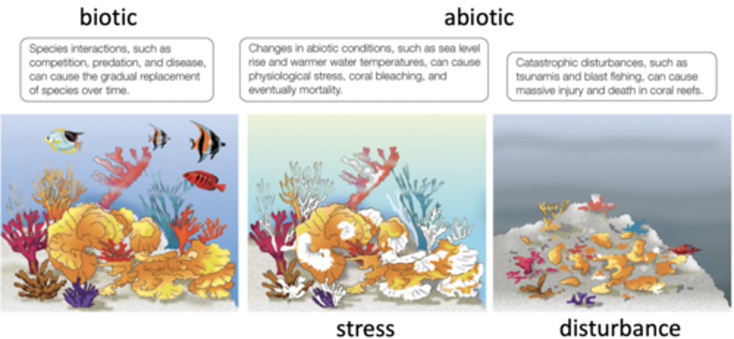 <p>living; species interactions resulting in replacements, diseases, ecosystem engineers/keystone species</p>