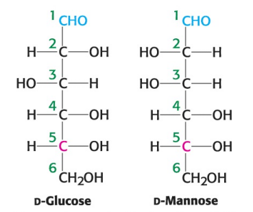 <p>True or False: D-glucose and D-mannose are enantiomers.</p>