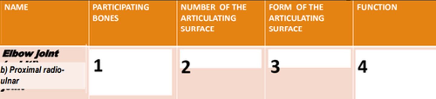 <p>4</p>