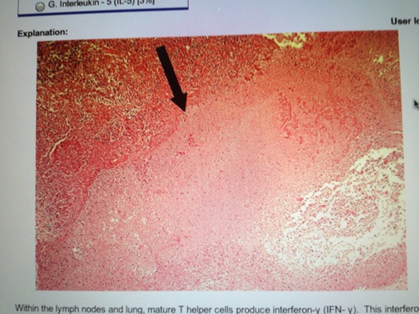 <p>the hell is you lookin at; also what cell responsible for this?</p>
