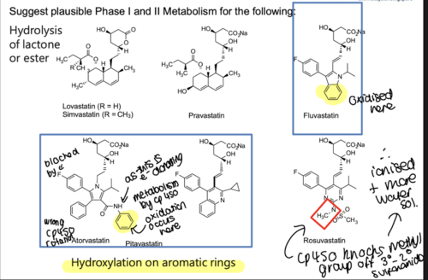 <p>hydroxylation occurs on aromatic rings by cp450</p>