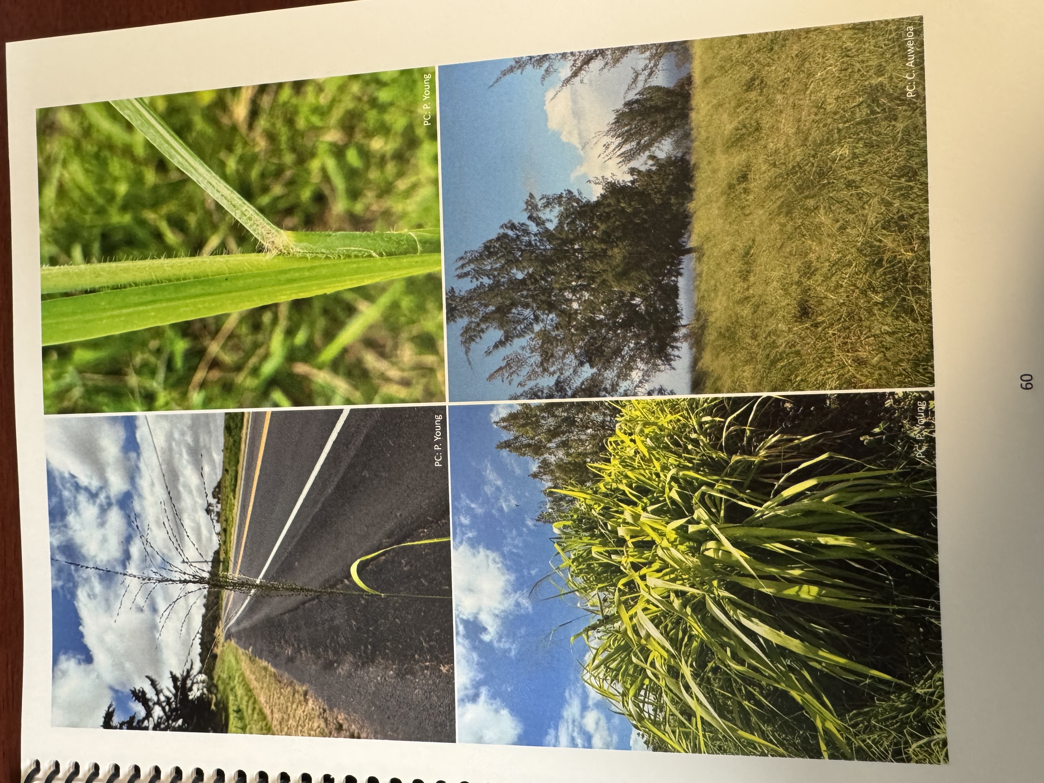 <img src="blob:null/64aedc21-c5d5-434b-a2ed-0418aefbfa8c"><p></p>