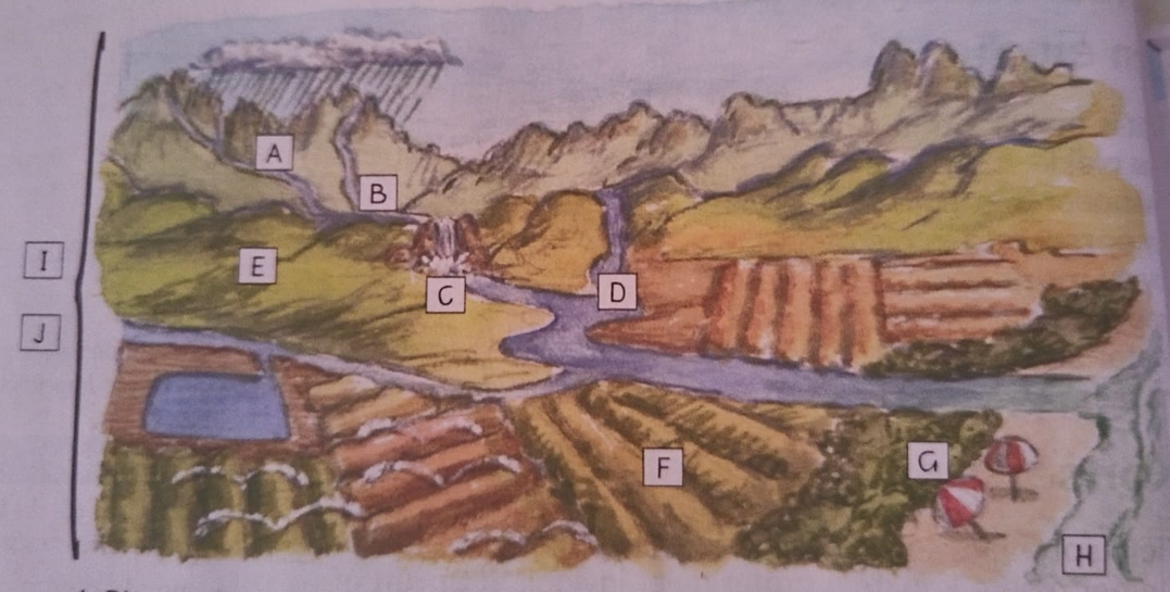<p>E) Die spruite en riviere vloei teen _________ tussen die heuwels</p>