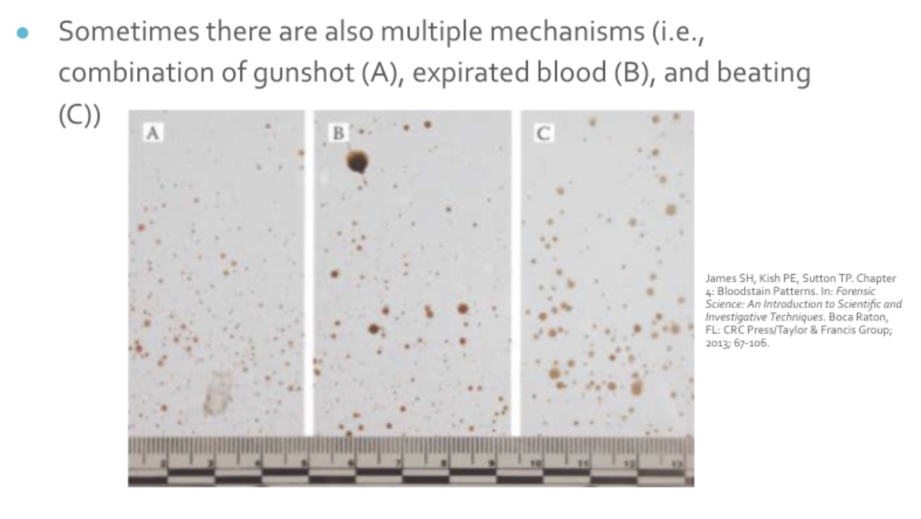 <p>generally 1-3 mm in diameter</p><ul><li><p><span style="background-color: transparent;"><span>Exposed blood must exist for spatter to start happening, but the bloodied area itself doesn’t have to have an impact</span></span></p></li><li><p><span style="background-color: transparent; color: rgb(242, 124, 181);"><span>Size range of spatters from different mechanisms can be similar, so it’s not always possible to determine it</span></span></p></li></ul><p></p>