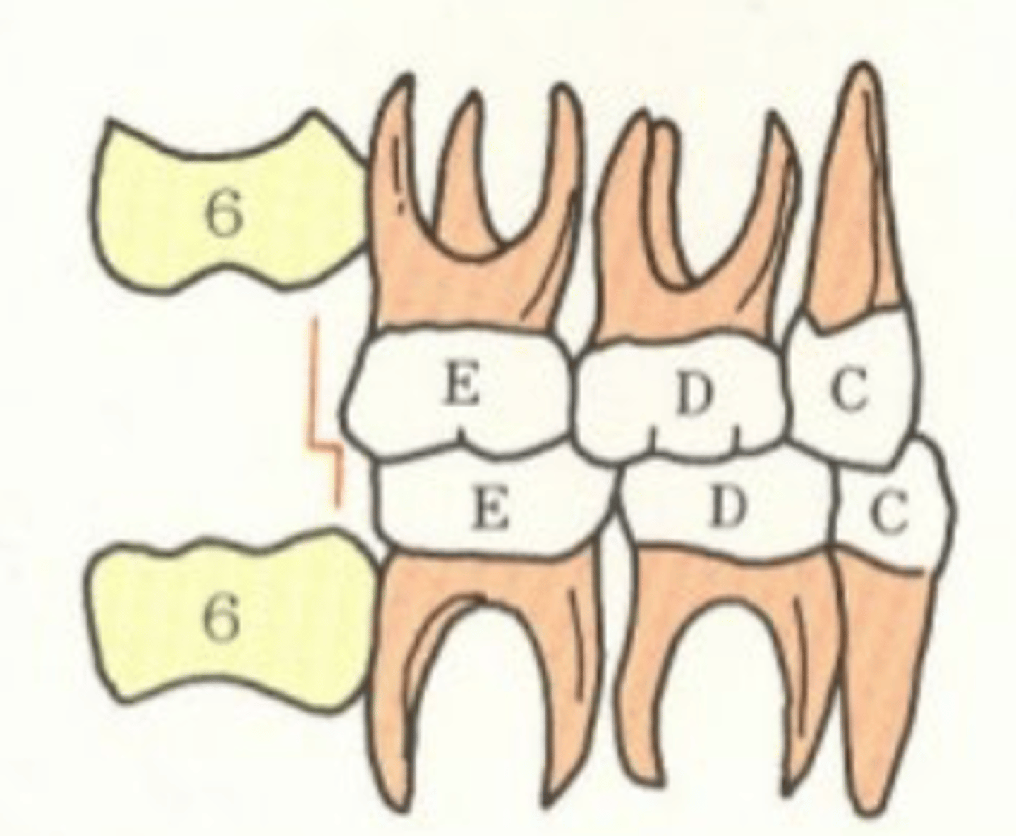<p>Which terminal plane?</p>
