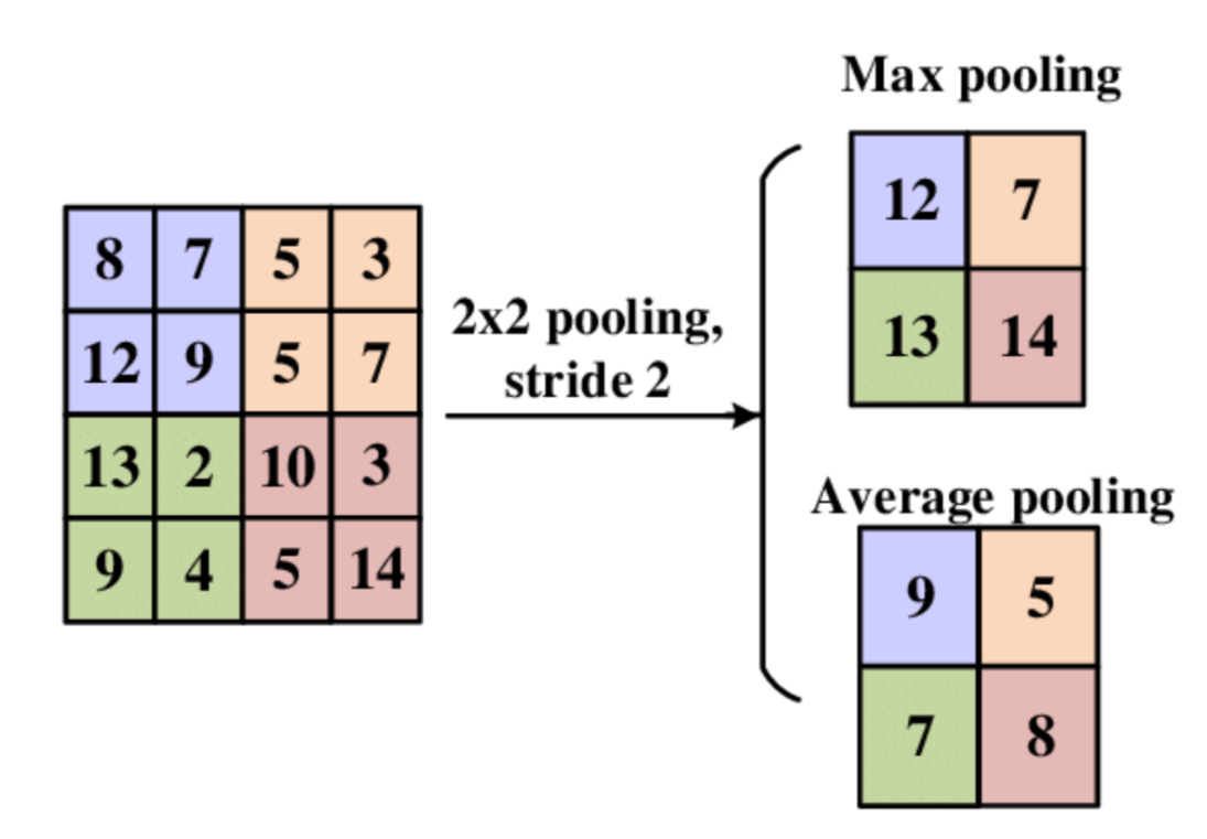 <p>Pooling layers downsample and aggregate features, reducing complexity and capturing essential information. Imagine zooming out on a map: you lose fine details but retain key landmarks, making the map easier to navigate. They reduce the spatial size of the representation to reduce the number of parameters and computation in the network.</p>