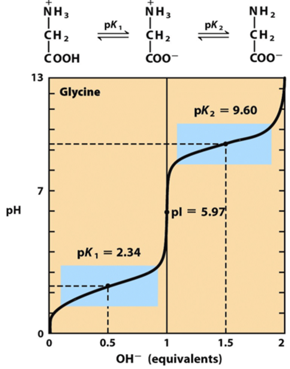 <p>the pH at which an amino acids exists primarily in its zwitterion form; more than 99% are in zwitterion form; calculated by taking the average of the pKa values of the amine and carboxyl group of non basic/acidic side chain amino acids; for amino acids that have a pKa for their side chain, pI is determined by taking the average pKa of either both acidic (COOH) or both basic sites (NH3+)</p>