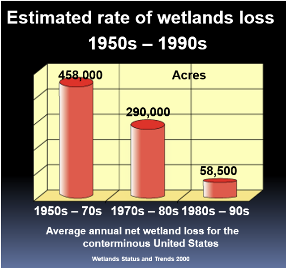 <ul><li><p class="Paragraph SCXW103195744 BCX0" style="text-align: left;"><span>The rate of wetland loss was higher in the 50-70s&nbsp;&nbsp;</span></p></li></ul><ul><li><p class="Paragraph SCXW103195744 BCX0" style="text-align: left;"><span>In the 80s we see the rate really decline&nbsp;&nbsp;</span></p></li></ul><p></p>