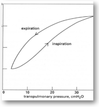 <p>How would the addition of saline to the lung affect the lines on this graph</p><p>(Inflation of the lung with saline eliminates air-liquid interface and surface tension)</p>