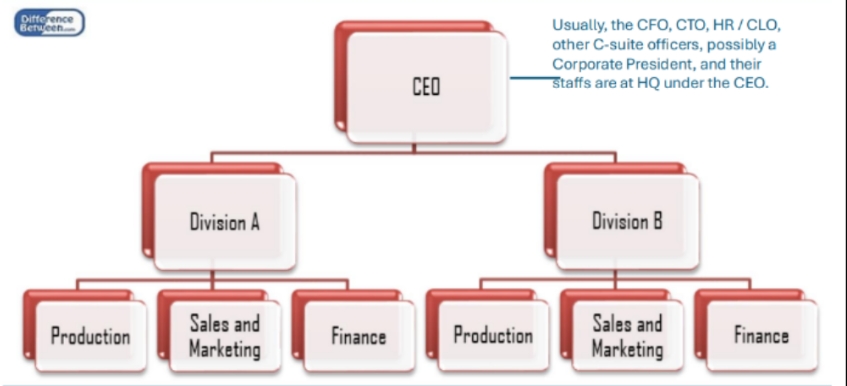 <p><span>Companies organized into operating units</span></p><ul><li><p><span>Organized by division and within that, usually by function</span></p></li></ul><ul><li><p><span>Emphasis on innovation &amp; flexibility</span></p></li></ul><p></p>