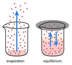 <p>When both forwards and backwards reactions are still happening, but there is no overall effect on reactants or products.</p>