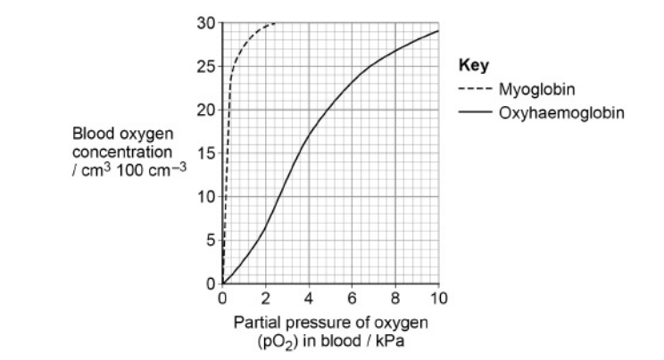 <p>Seals are diving mammals. They fill their lungs with air before they dive and hold their breath during the dive. The graph shows the dissociation curves for seal oxyhaemoglobin and seal myoglobin. Myoglobin is an oxygen-carrying protein found in muscles.</p><p>Use information in the graph to explain how the seal’s myoglobin dissociation curve shows the seal is adapted for diving.</p>