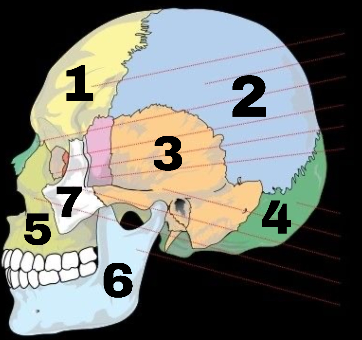 <p>Wat is nummer 6</p>