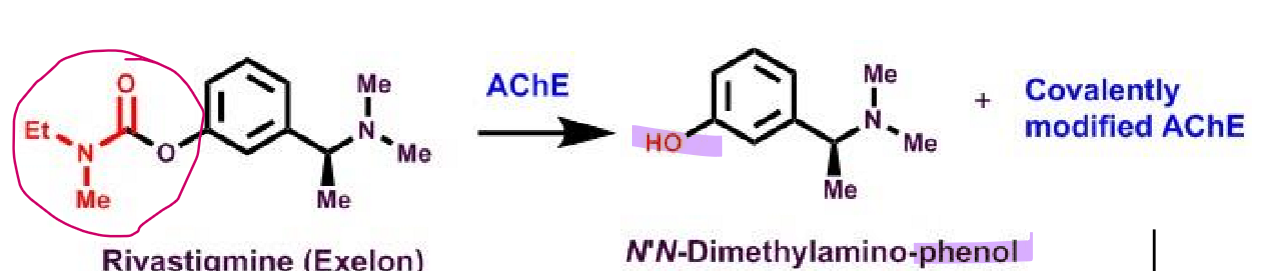 <ul><li><p>carbamate derivative (oxygen + amide) </p><ul><li><p>important is what covalently binds </p></li></ul></li><li><p>potent and <strong>covalent</strong> inhibitor </p></li><li><p>S-enantiomer has activity </p></li><li><p>metabolite also some activity</p><ul><li><p>N’N-dimethylamino-phenol</p></li></ul></li></ul><p></p>
