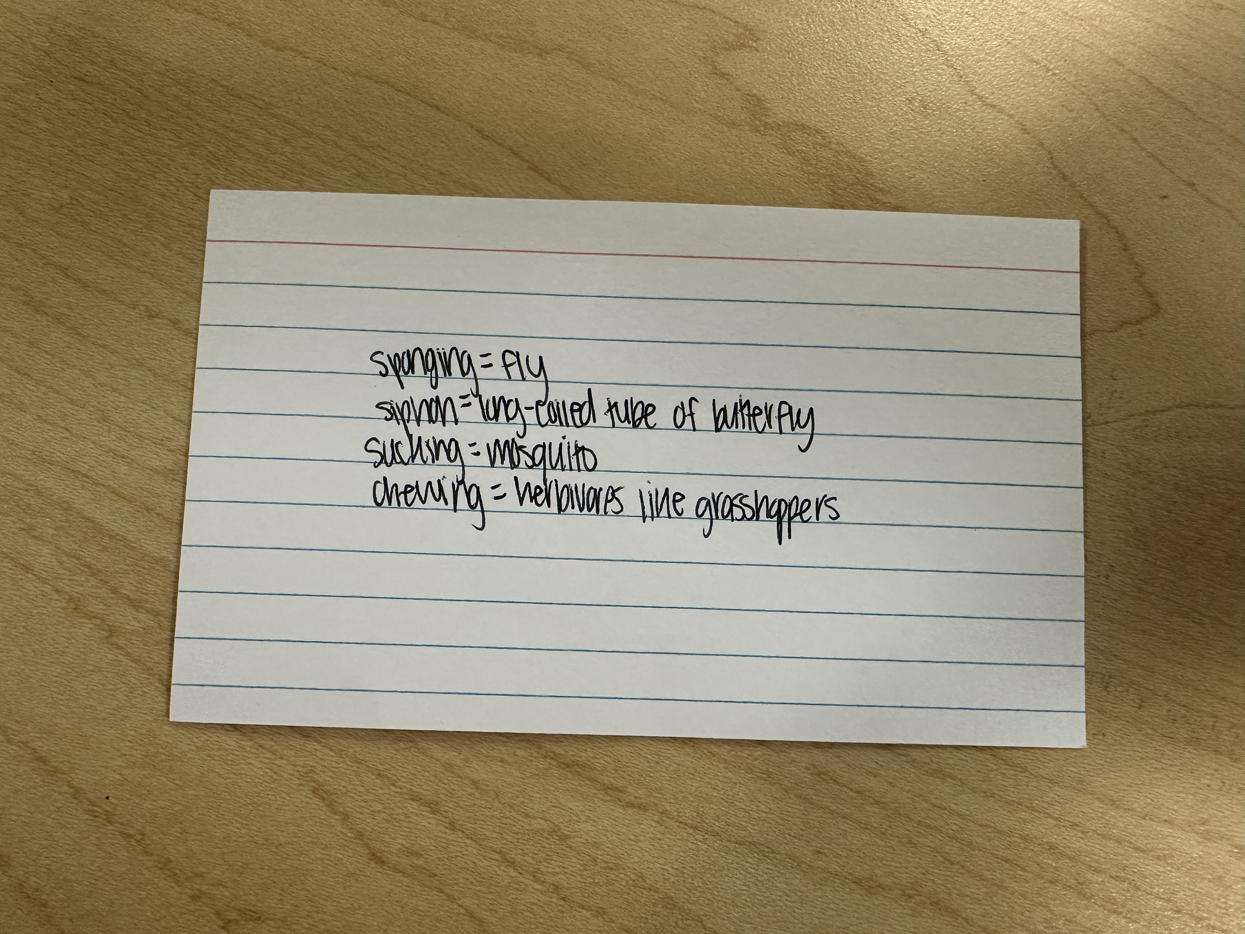 knowt flashcard image