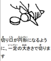 term image