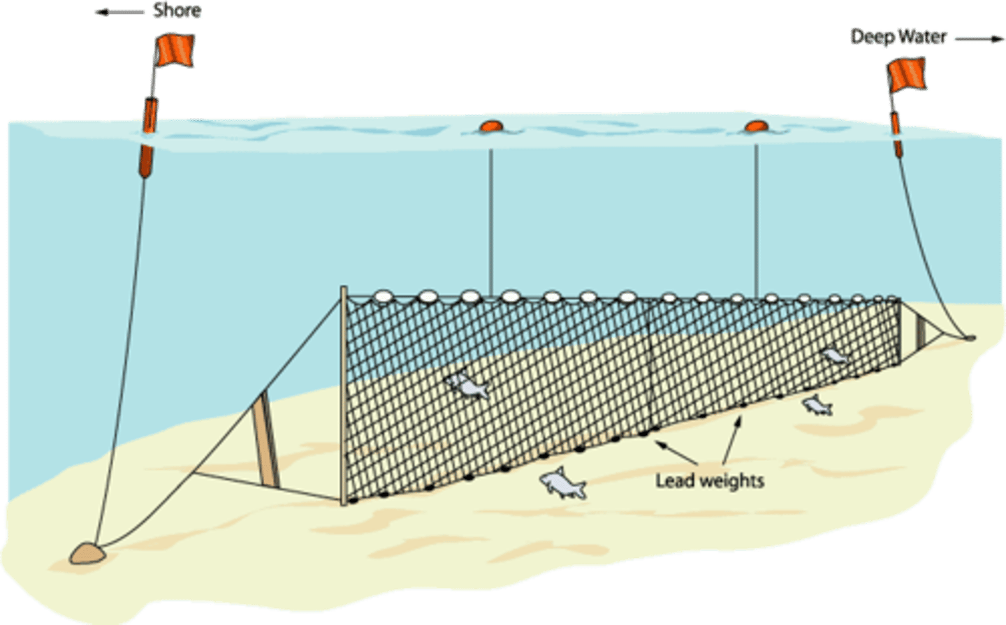 <p>Nets that drift on the bottom and midwater to trap and catch fish by their gills</p>