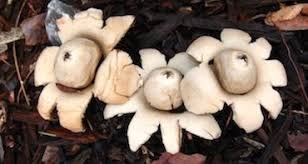 <p>What is this?</p>