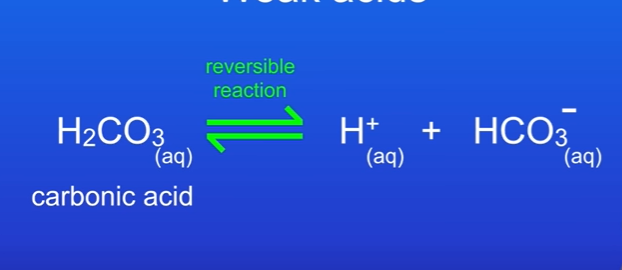 <p>They partially ionise in aqueous solutions.</p><p>The reversible reaction tells us some of the acid ionised, not all of it.</p>