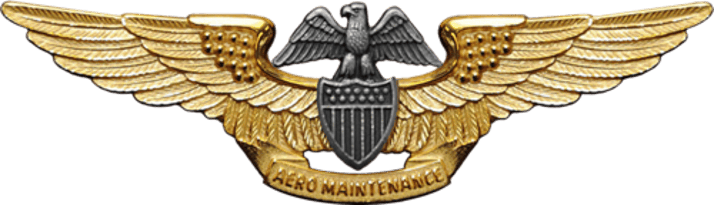 <p>2009, comprised of aerospace maintenance duty officers, limited duty officers, and chief warrant officers; 24 months in aviation maintenance capacity, required to pass PQS and oral board; support aviation missions and squadrons fighting capabilities</p>